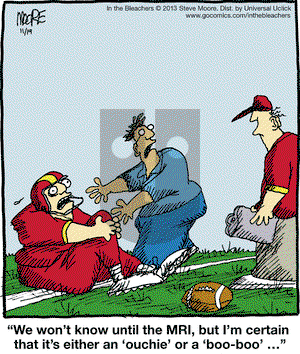 In the Bleachers on Tuesday November 19, 2013 Comic Strip