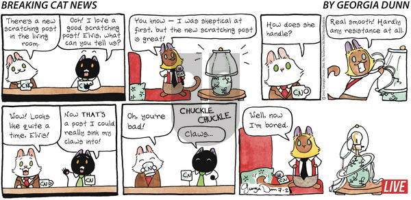 Breaking Cat News on Sunday July 2, 2017 Comic Strip