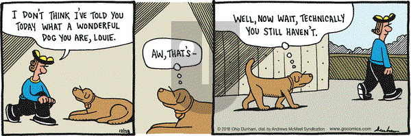 Overboard on Friday December 28, 2018 Comic Strip