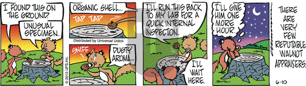 Rose is Rose on Wednesday June 10, 2015 Comic Strip