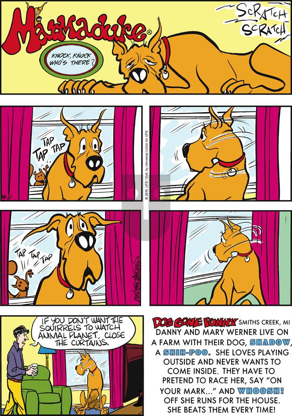 Marmaduke on Sunday September 11, 2016 Comic Strip