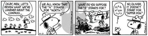 Peanuts on Thursday June 3, 1982 Comic Strip
