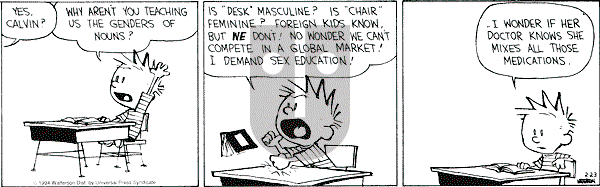 Calvin and Hobbes - Wednesday February 23, 1994 Comic Strip