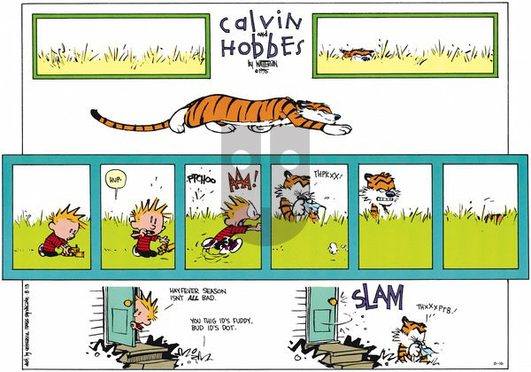 Calvin and Hobbes on Sunday August 16, 2015 Comic Strip