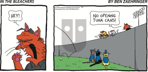 In the Bleachers on Sunday June 8, 2025 Comic Strip