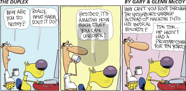 The Duplex on Sunday January 5, 2020 Comic Strip