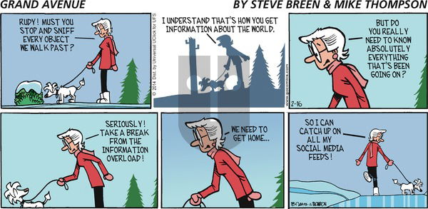 Grand Avenue on Sunday February 16, 2014 Comic Strip