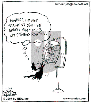 Kit 'N' Carlyle on Tuesday February 13, 2007 Comic Strip