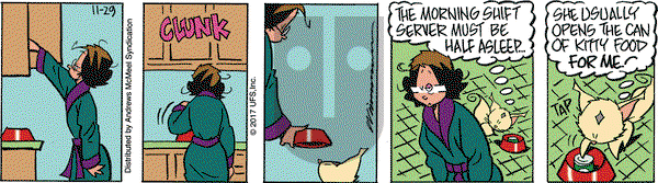 Rose is Rose on Wednesday November 29, 2017 Comic Strip