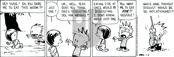 Calvin and Hobbes - Tuesday May 18, 1993 Comic Strip