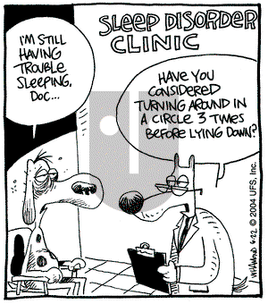 Reality Check on Tuesday June 22, 2004 Comic Strip