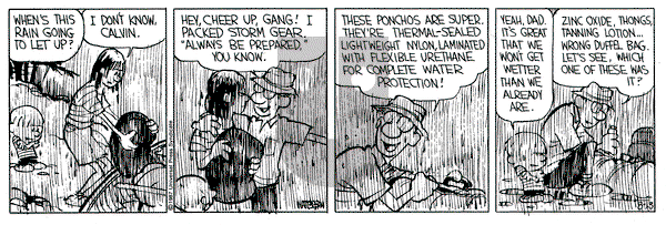 Calvin and Hobbes on Thursday August 13, 1987 Comic Strip