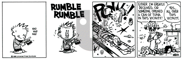 Calvin and Hobbes on Friday May 27, 1988 Comic Strip