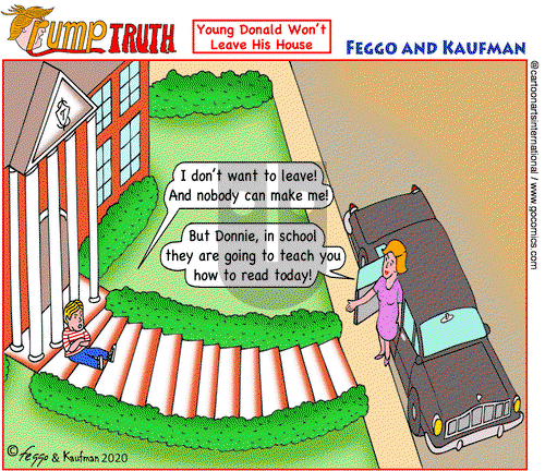 ViewsAmerica on Wednesday November 18, 2020 Comic Strip