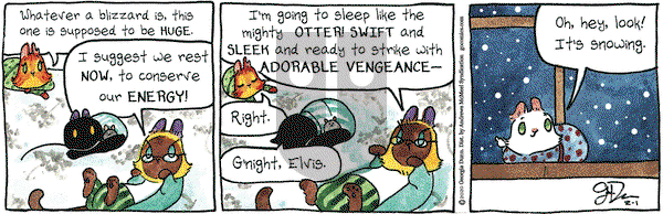 Breaking Cat News on Saturday February 1, 2020 Comic Strip