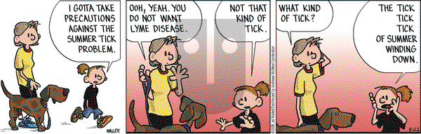 Frazz on Wednesday August 22, 2018 Comic Strip