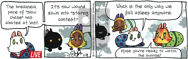 Breaking Cat News on Saturday January 9, 2021 Comic Strip