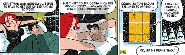 Rip Haywire on Tuesday December 26, 2017 Comic Strip