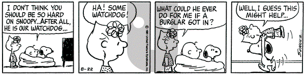 Peanuts on Saturday August 22, 1981 Comic Strip