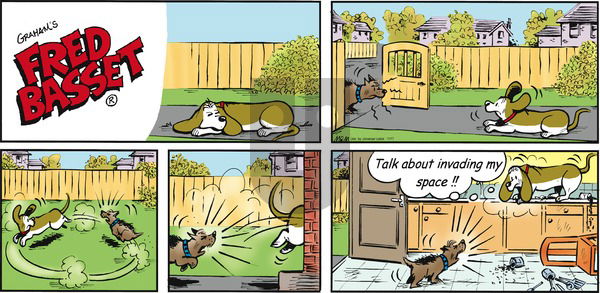 Fred Basset - Sunday November 17, 2013 Comic Strip