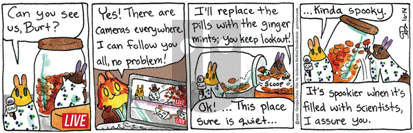 Breaking Cat News on Tuesday October 14, 2025 Comic Strip