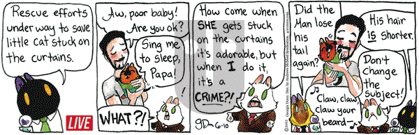 Breaking Cat News - Saturday June 10, 2023 Comic Strip
