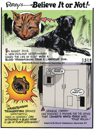 Ripley's Believe It or Not on Friday December 13, 2013 Comic Strip