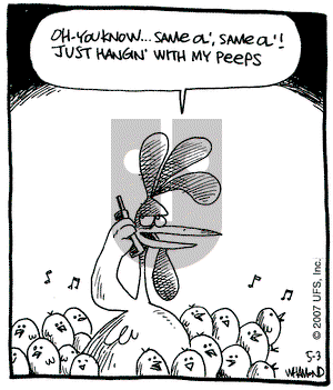 Reality Check on Thursday May 3, 2007 Comic Strip