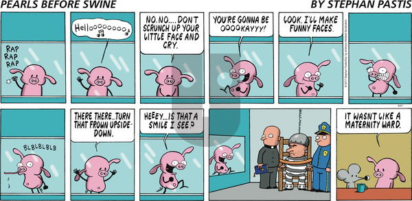 Pearls Before Swine on Sunday August 27, 2017 Comic Strip