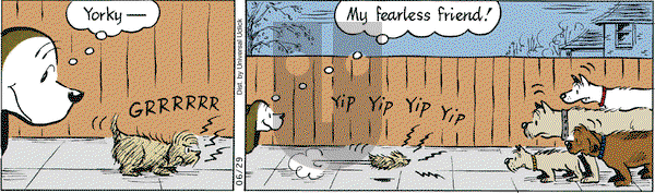 Fred Basset on Tuesday June 29, 2010 Comic Strip
