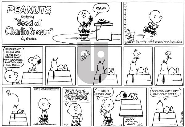 Peanuts on Sunday August 5, 1973 Comic Strip