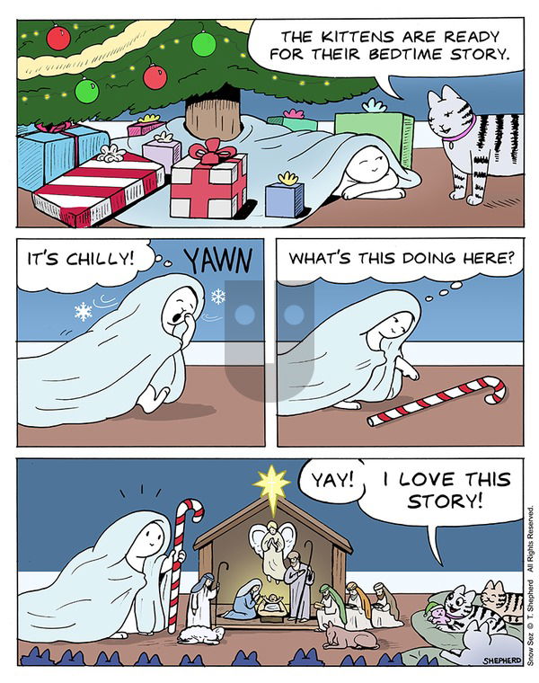 Snow Sez on Sunday December 24, 2023 Comic Strip