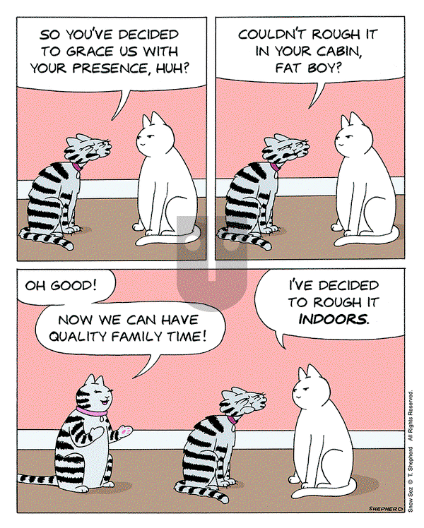Snow Sez on Monday December 16, 2024 Comic Strip