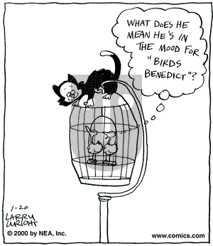 Kit 'N' Carlyle on Thursday March 15, 2001 Comic Strip