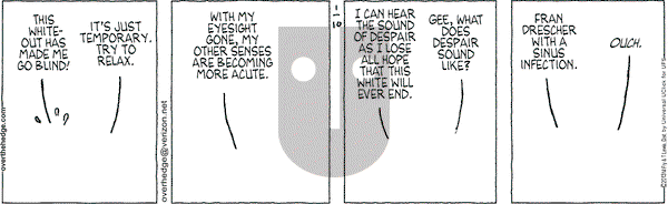 Over the Hedge on Thursday January 10, 2013 Comic Strip