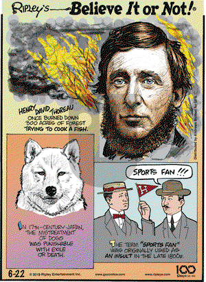 Ripley's Believe It or Not on Saturday June 22, 2019 Comic Strip