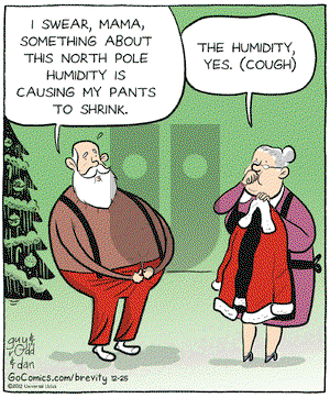 Brevity on Tuesday December 25, 2012 Comic Strip