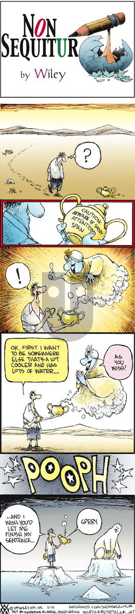 Non Sequitur on Sunday May 18, 2025 Comic Strip