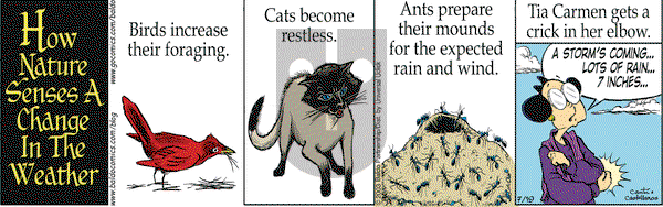 Baldo on Monday July 19, 2010 Comic Strip