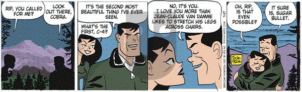 Rip Haywire on Saturday November 27, 2010 Comic Strip