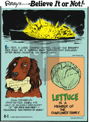 Ripley's Believe It or Not on Monday June 1, 2020 Comic Strip