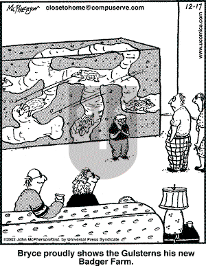 Close to Home - Tuesday December 17, 2002 Comic Strip