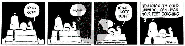 Peanuts - Monday May 17, 1982 Comic Strip