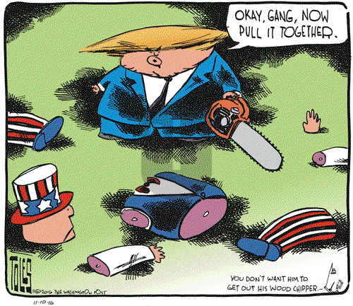 Tom Toles on Thursday November 10, 2016 Comic Strip