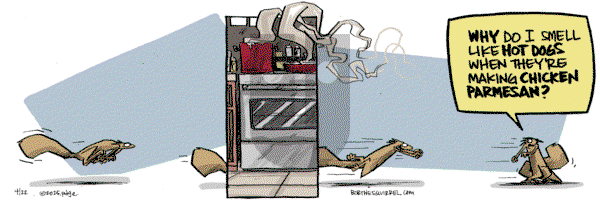 Bob the Squirrel on Tuesday April 22, 2025 Comic Strip