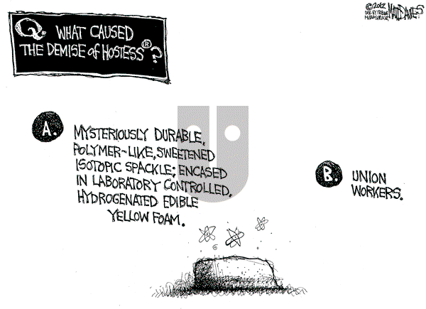 Matt Davies on Friday November 23, 2012 Comic Strip