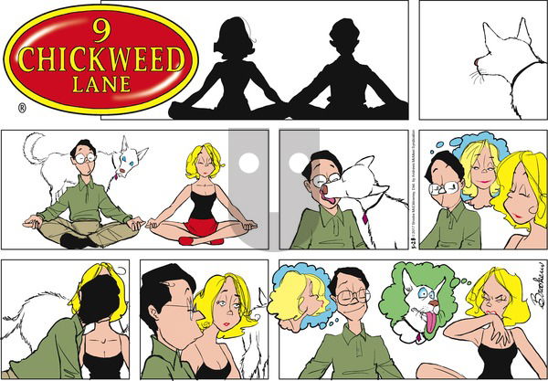 9 Chickweed Lane on Sunday May 28, 2017 Comic Strip
