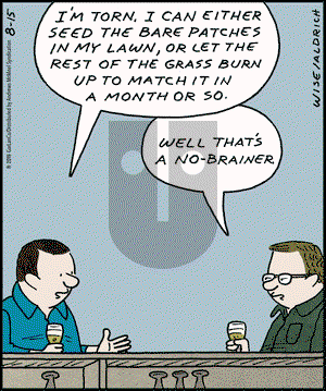 Real Life Adventures on Thursday August 15, 2019 Comic Strip