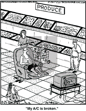 Close to Home on Friday August 25, 2006 Comic Strip