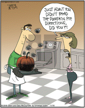The Flying McCoys - Wednesday November 16, 2016 Comic Strip